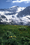 Permet de se rendre sur une image en cliquant