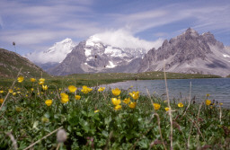 Permet de se rendre sur une image en cliquant