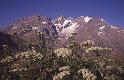 Permet de se rendre sur une image en cliquant