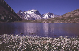 Permet de se rendre sur une image en cliquant