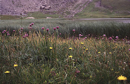 Permet de se rendre sur une image en cliquant