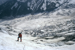 Permet de se rendre sur une image en cliquant