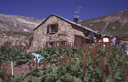 Permet de se rendre sur une image en cliquant