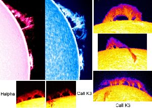 cliquez ici pour voir l'image (fig06.jpg)