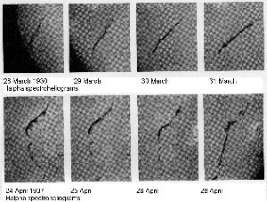 cliquez ici pour voir l'image (figure14.jpg)