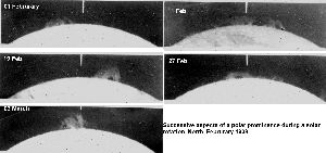 cliquez ici pour voir l'image (figure15.jpg)