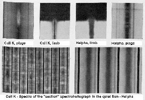 cliquez ici pour voir l'image (figure17.jpg)