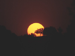 Permet de se rendre sur une image en cliquant