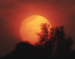 Permet de se rendre sur une image en cliquant