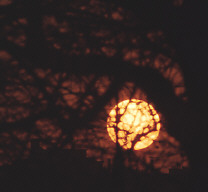 Permet de se rendre sur une image en cliquant