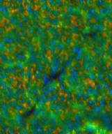 Permet de se rendre sur une image en cliquant