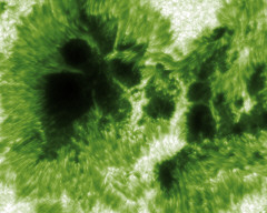 Permet de se rendre sur une image en cliquant