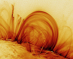 Permet de se rendre sur une image en cliquant