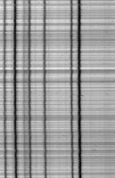 cliquez ici pour voir l'image (4607.jpg)