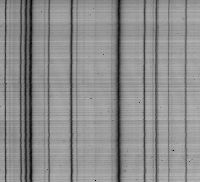 cliquez ici pour voir l'image (5233.jpg)