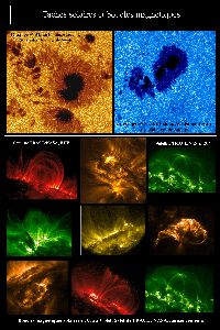 cliquez ici pour voir l'image (taches.jpg)