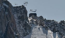 cliquez ici pour voir l'image (C23.JPG)