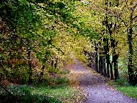 cliquez ici pour voir l'image (DSC06151_43.jpg)