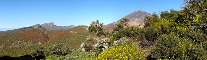 cliquez ici pour voir l'image (izana2.jpg)