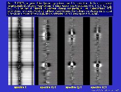 cliquez ici pour voir l'image (24.jpg)