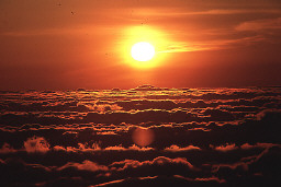 Permet de se rendre sur une image en cliquant