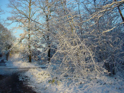 Permet de se rendre sur une image en cliquant