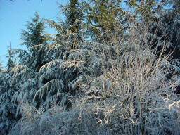 Permet de se rendre sur une image en cliquant