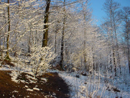 Permet de se rendre sur une image en cliquant