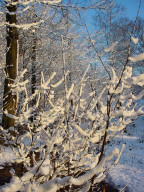 Permet de se rendre sur une image en cliquant