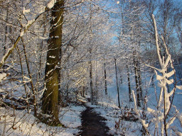 Permet de se rendre sur une image en cliquant