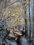 Permet de se rendre sur une image en cliquant