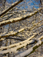 Permet de se rendre sur une image en cliquant