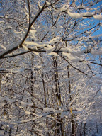 Permet de se rendre sur une image en cliquant