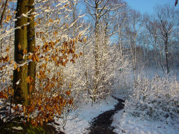 Permet de se rendre sur une image en cliquant