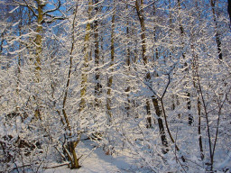 Permet de se rendre sur une image en cliquant