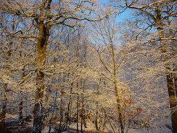 Permet de se rendre sur une image en cliquant