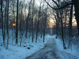 Permet de se rendre sur une image en cliquant