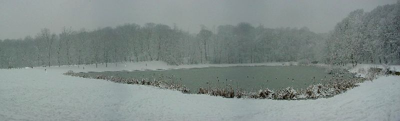 cliquez ici pour voir l'image (Bois-Clamart1.JPG)