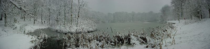 cliquez ici pour voir l'image (Bois-Clamart2.JPG)