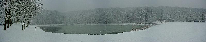 cliquez ici pour voir l'image (Bois-Clamart3.JPG)