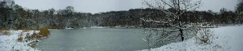 cliquez ici pour voir l'image (Bois-Clamart4.JPG)