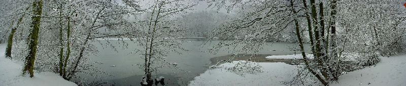 cliquez ici pour voir l'image (Bois-Clamart.JPG)