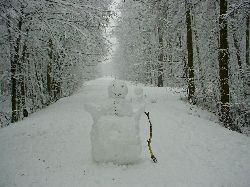 cliquez ici pour voir l'image (DSC03971.JPG)