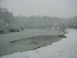 cliquez ici pour voir l'image (DSC03972.JPG)