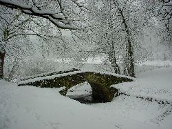 cliquez ici pour voir l'image (DSC03982.JPG)