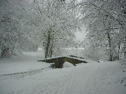 cliquez ici pour voir l'image (DSC03987.JPG)