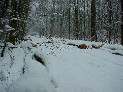 cliquez ici pour voir l'image (DSC04006.JPG)