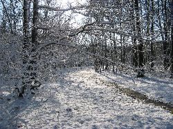 cliquez ici pour voir l'image (IMG_0612.jpg)