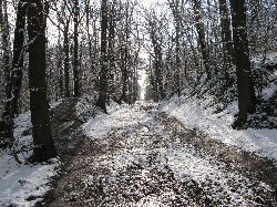 cliquez ici pour voir l'image (IMG_0616.jpg)