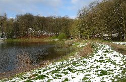 cliquez ici pour voir l'image (IMG_0623.jpg)